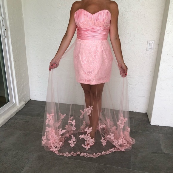 Alyce Paris Pink Etherial Lace Prom Pageant Gown Dress Womens 6 - Picture 1 of 11